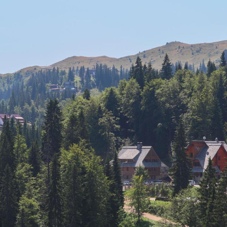 Vučko Private Apartment with balcony - Apartment with Mountain View - 8