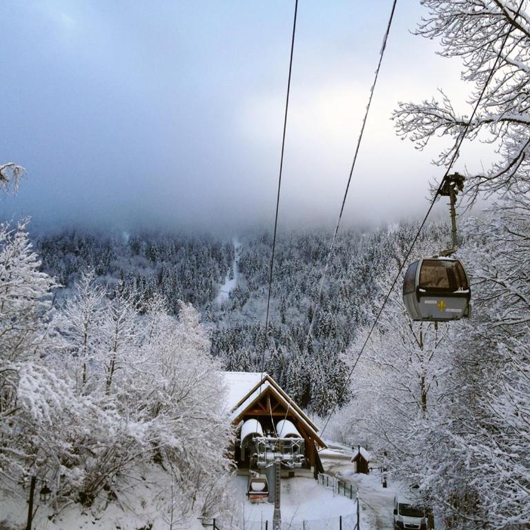 L'Orchidée - Chalet - 26