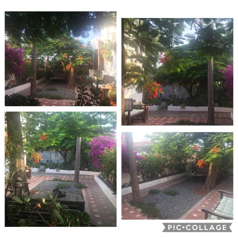Heavens Garden House - Casa Unifamiliar de 3 dormitorios - 30