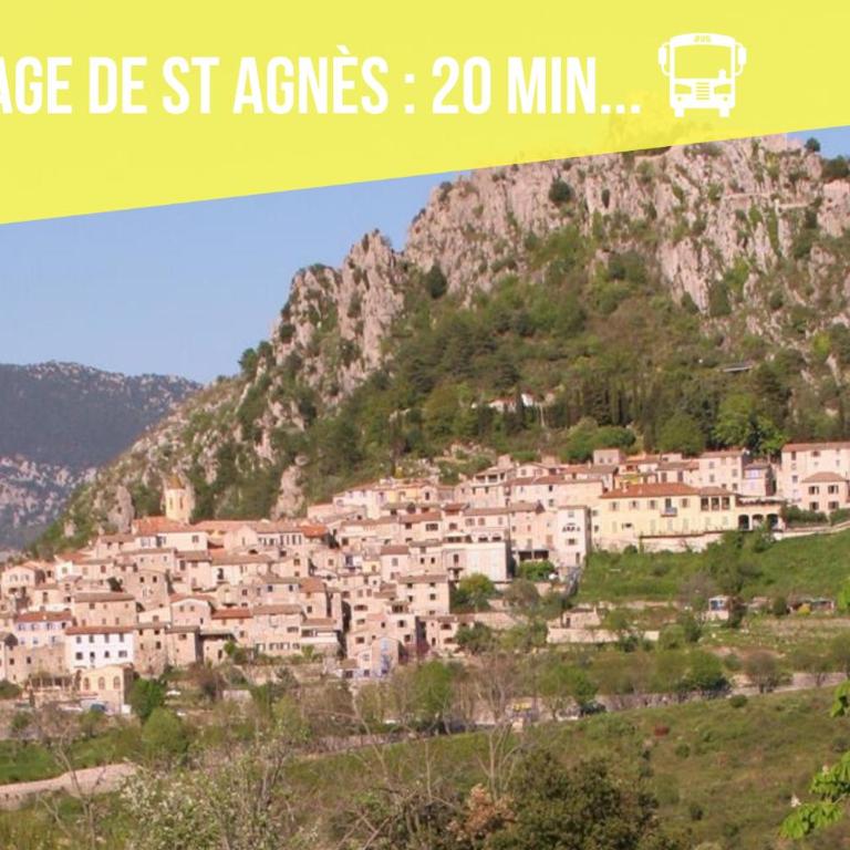 COSY MATTONI - Appartement 1 Chambre - 58