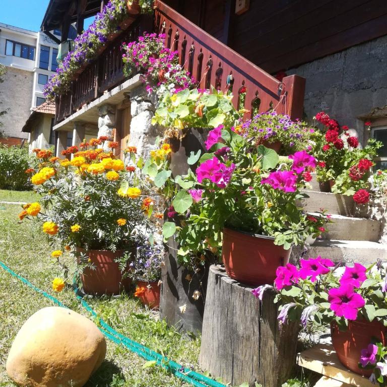 Dana apartmani - Apartman sa 1 Spavaćom Sobom - 12
