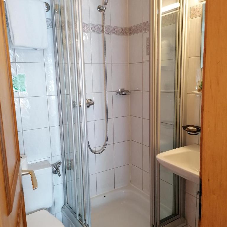 Petit Helvetia Budget Hotel - Standard Doppelzimmer - 1