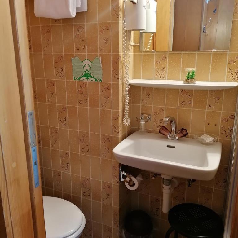 Petit Helvetia Budget Hotel - Einzelzimmer - 4
