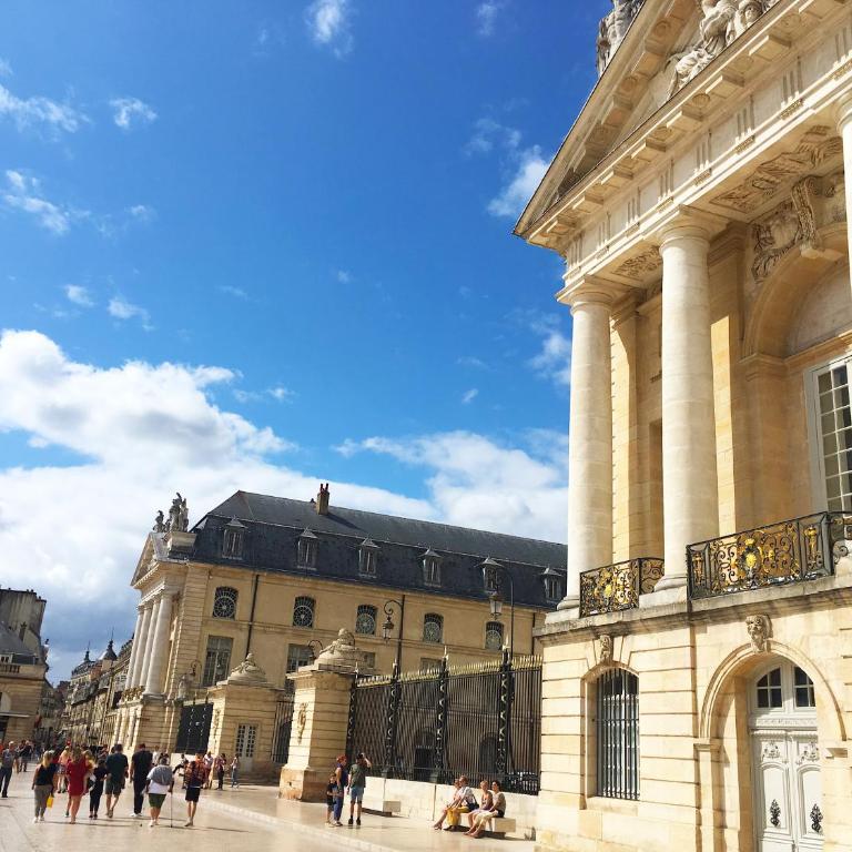 Le Relais des Ducs : centre historique Dijon - Appartement - 39