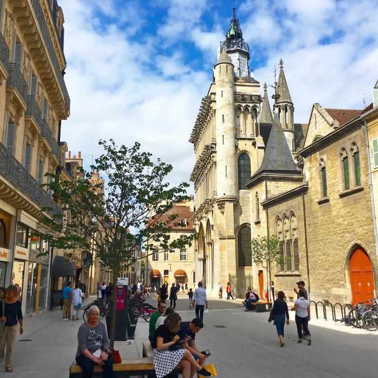 Le Relais des Ducs : centre historique Dijon - Appartement - 34