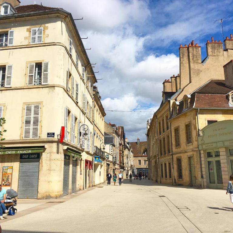 Le Relais des Ducs : centre historique Dijon - Appartement - 35