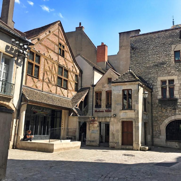 Le Relais des Ducs : centre historique Dijon - Appartement - 37