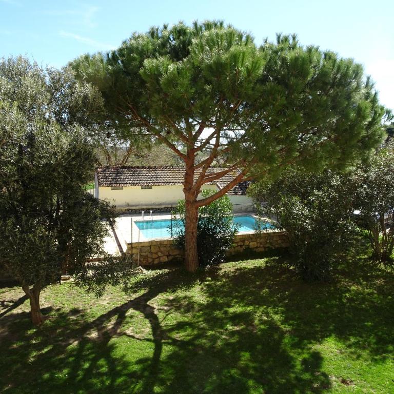 Domaine du Petit Tournebelle - Appartamento Monolocale - 5