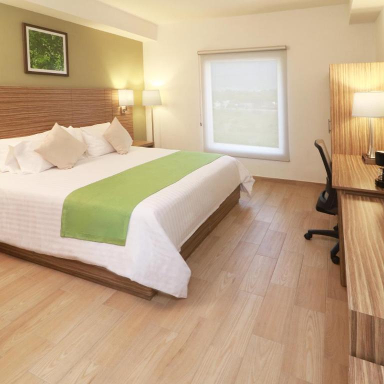 Wyndham Garden Monterrey Valle Real - King Room - Mobility Access/Non-Smoking - 1