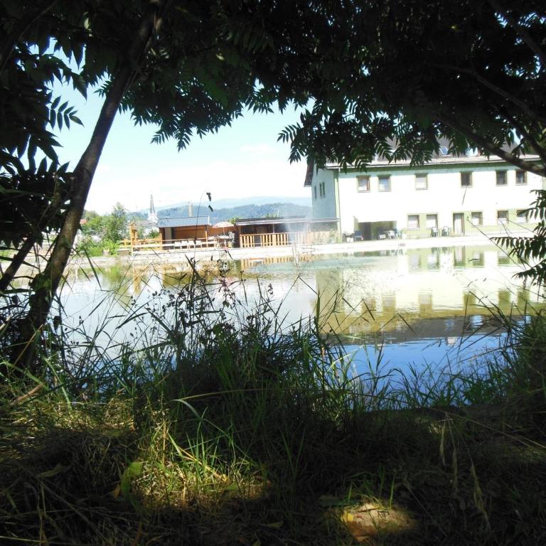 Ferienwohnung Poganz - Apartment mit 1 Schlafzimmer und Terrasse - 1