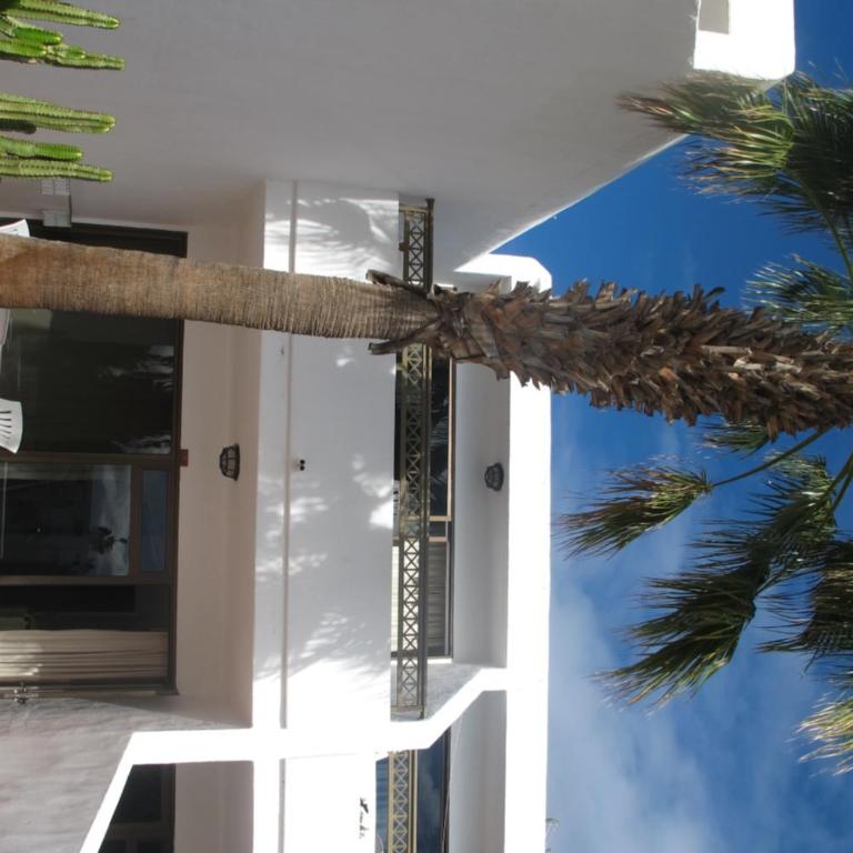 Vv Peces - Club de Mar Puerto del Carmen - Apartamento de 2 dormitorios - 5
