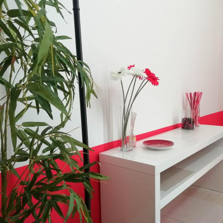 Appartamento indipendente a due passi dal centro - Appartamento - Piano Terra - 3