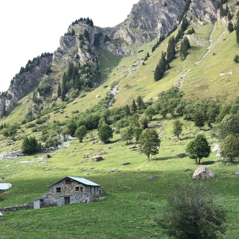 le coin tranquille - Appartement 1 Chambre - 14