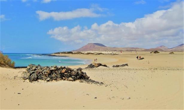 ATICO VIEW NATURE CORRALEJO - Apartamento de 2 dormitorios - 18