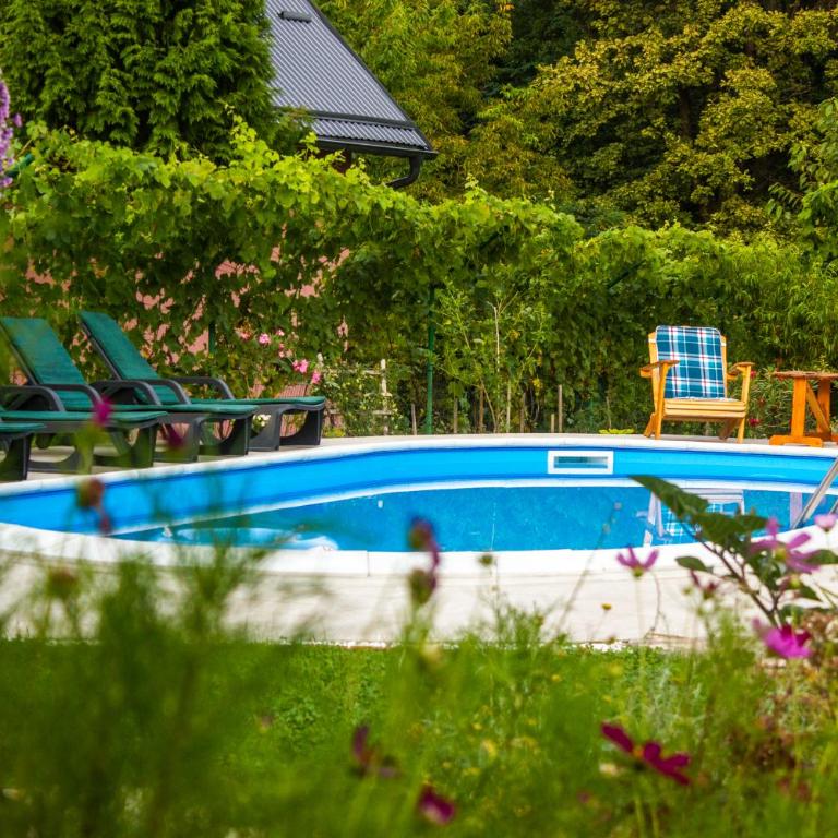 Villa Katarina with pool - Vila sa Sopstvenim Bazenom - 10