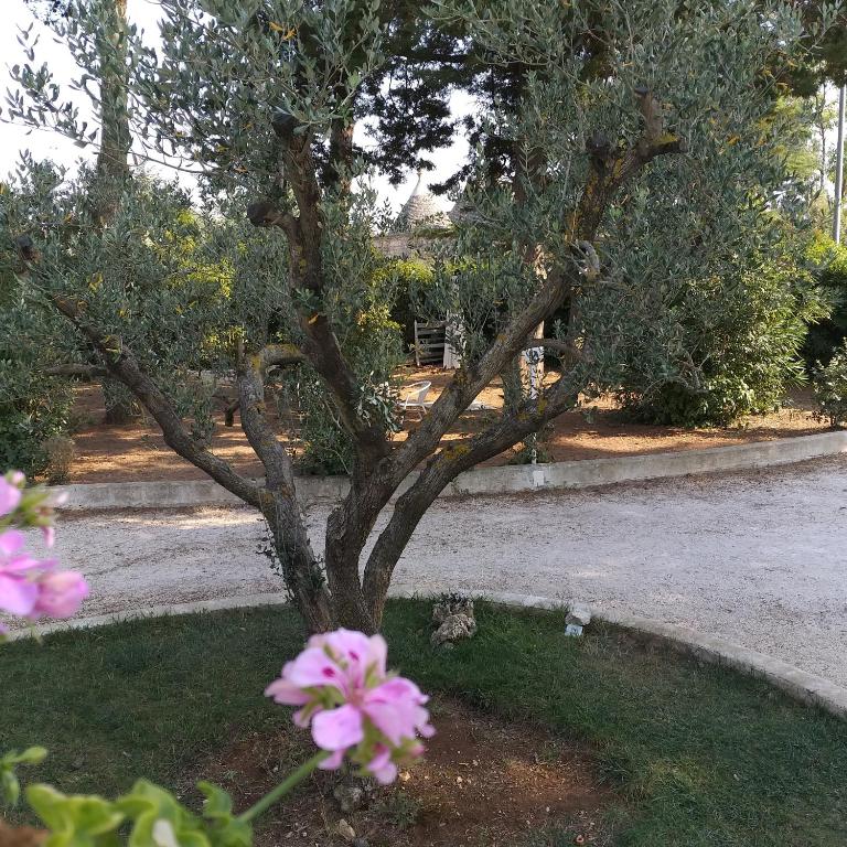 Casa Vacanze Villa Greca - Appartamento Standard - 46