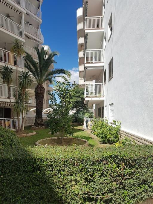 Apartamento excepcional,piscina y 100m de la playa, parking gratis!! - Apartamento de 3 dormitorios - 16