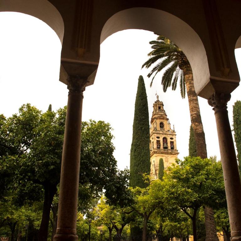 Puerta a la Mezquita - Apartamento de 2 dormitorios - 30