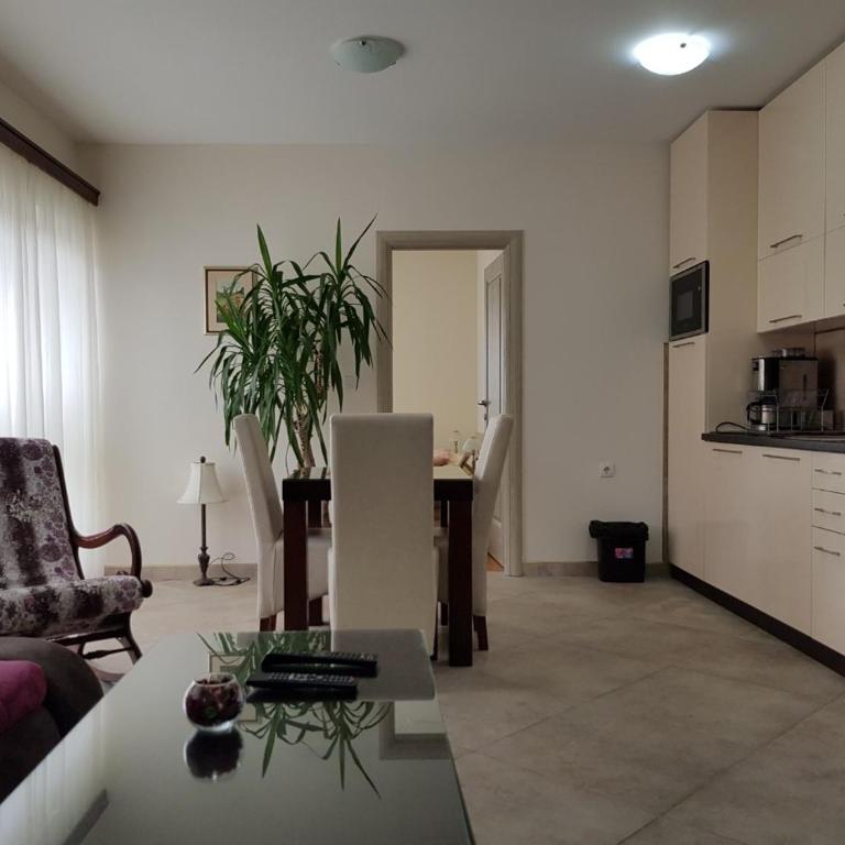 Apartman Arija Zlatibor - Apartman sa Pogledom na Planinu - 3