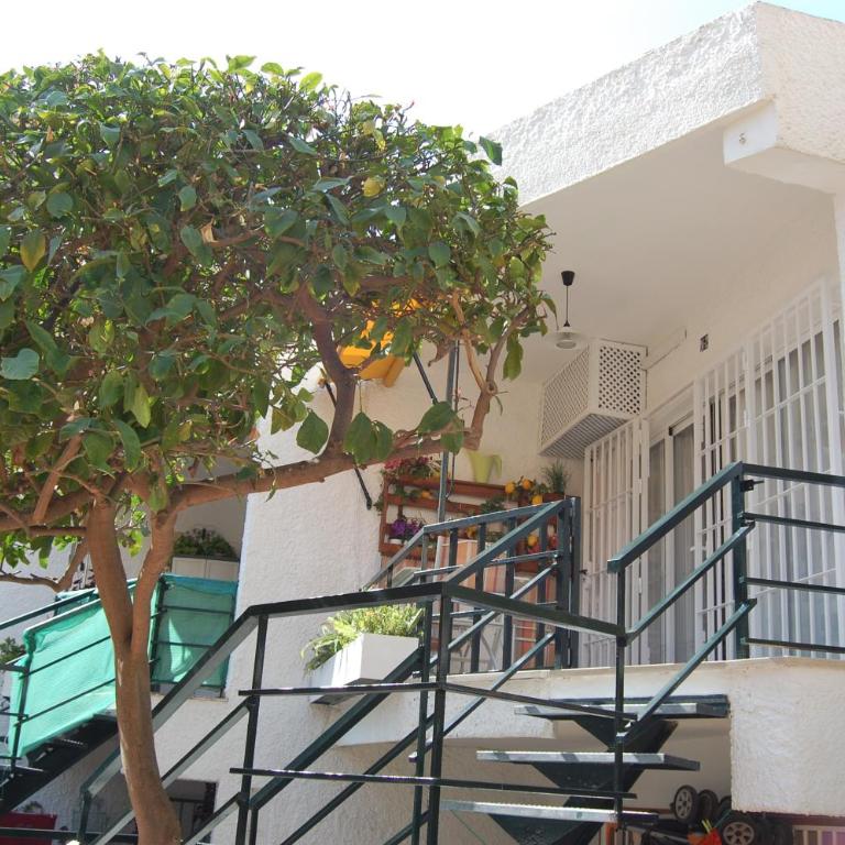 El Limonero - Apartamento de 1 dormitorio - 6
