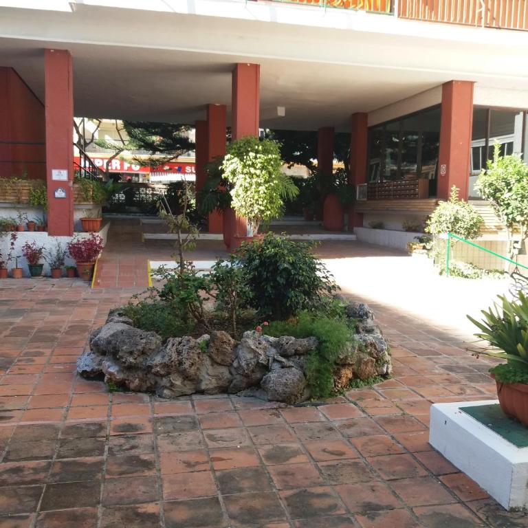 El Limonero - Apartamento de 1 dormitorio - 24