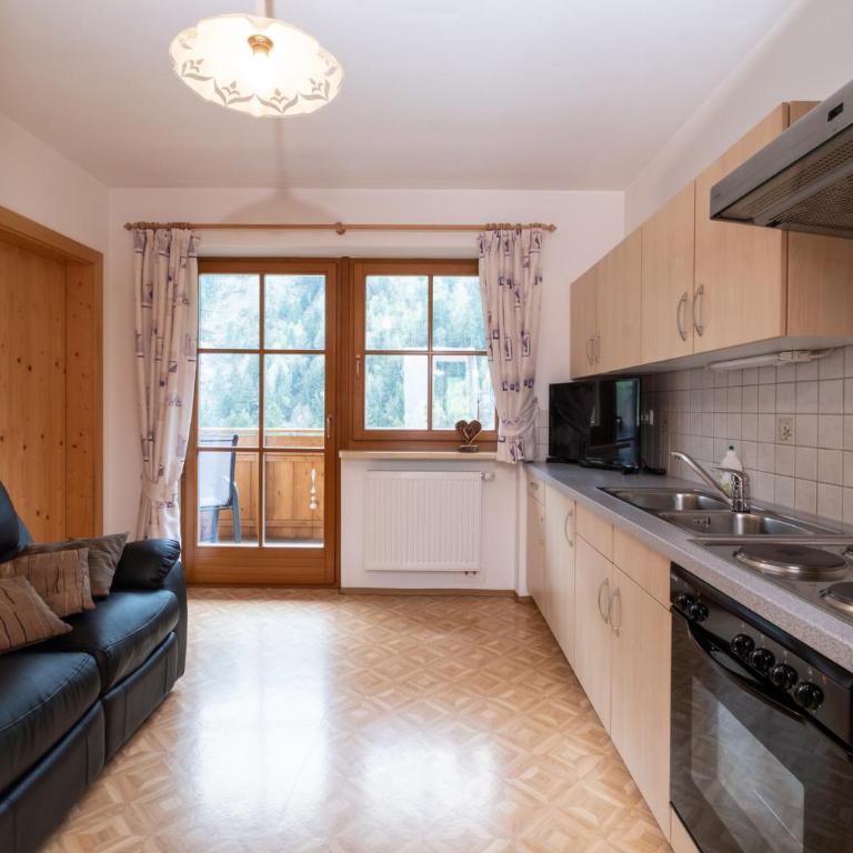 Apartments Dolomites "Mantingerhof" - Appartement 1 Chambre - 4