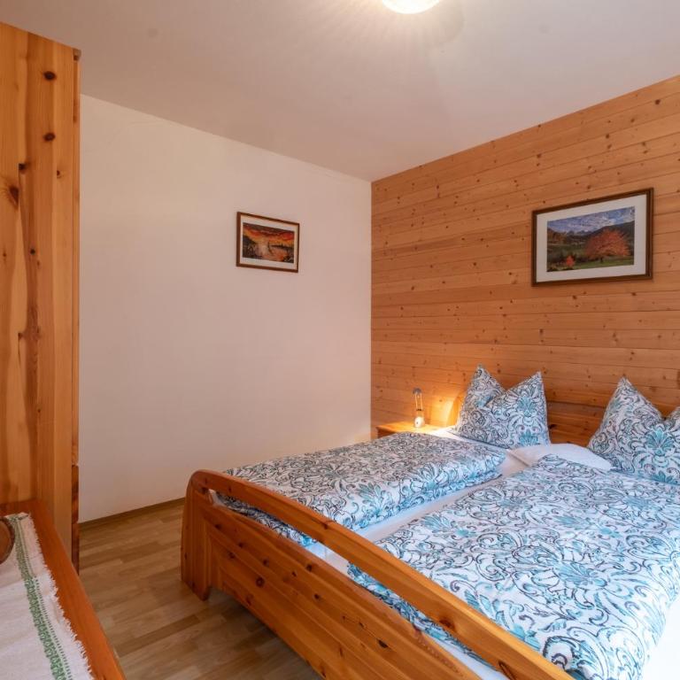 Apartments Dolomites "Mantingerhof" - Appartement 1 Chambre - 3