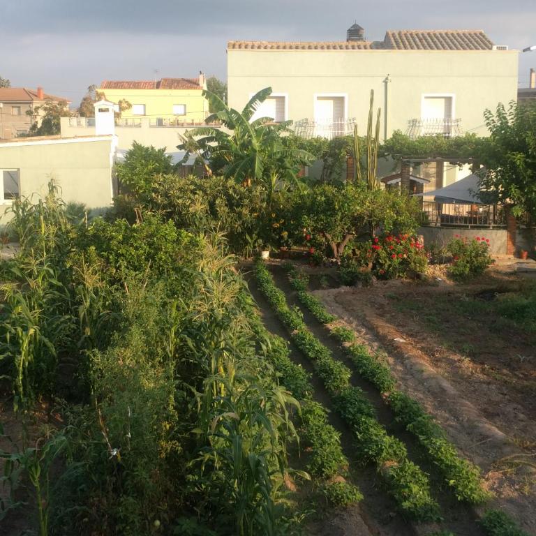 Casa Baleso - Vacation Home - 4