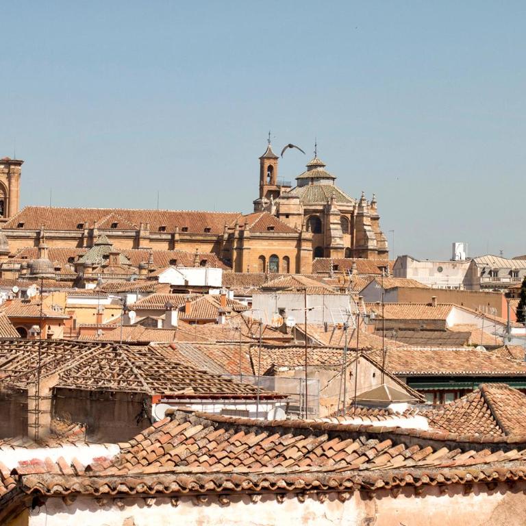 Rosarioseis ALBAICIN - Apartment with Terrace - 37