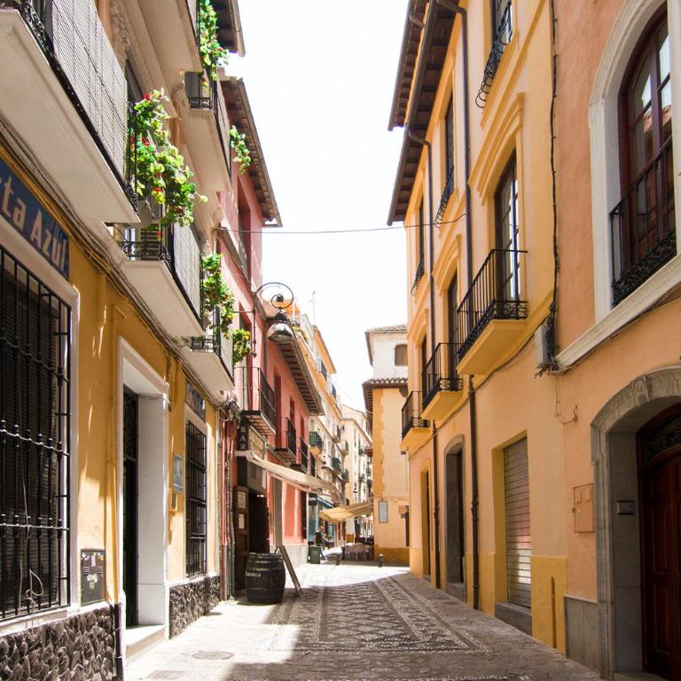 Rosarioseis ALBAICIN - Apartment with Terrace - 39