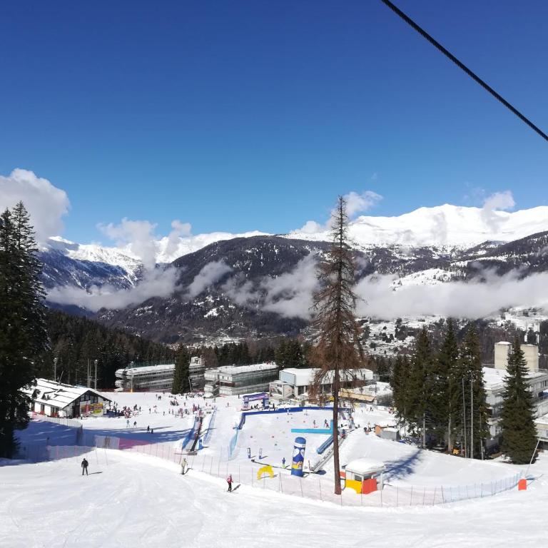 Marilleva 1400 Appartamenti Montana - Monolocale (2 Adulti) - 21