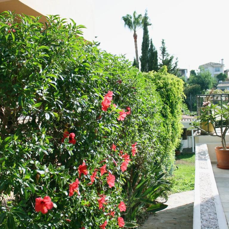 The Garden & Pool House-Banus - Casa de 3 dormitorios - 7