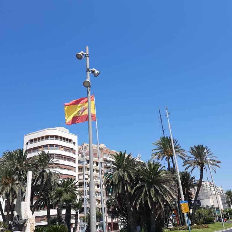 Alicante & Urban Center - Apartamento de 2 dormitorios - 44