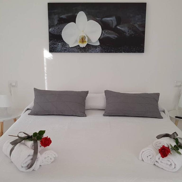 IL NIDO DELLA ZIA - Appartamento con 1 Camera da Letto - 1