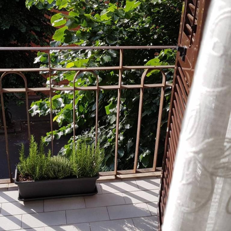 IL NIDO DELLA ZIA - Appartamento con 1 Camera da Letto - 9
