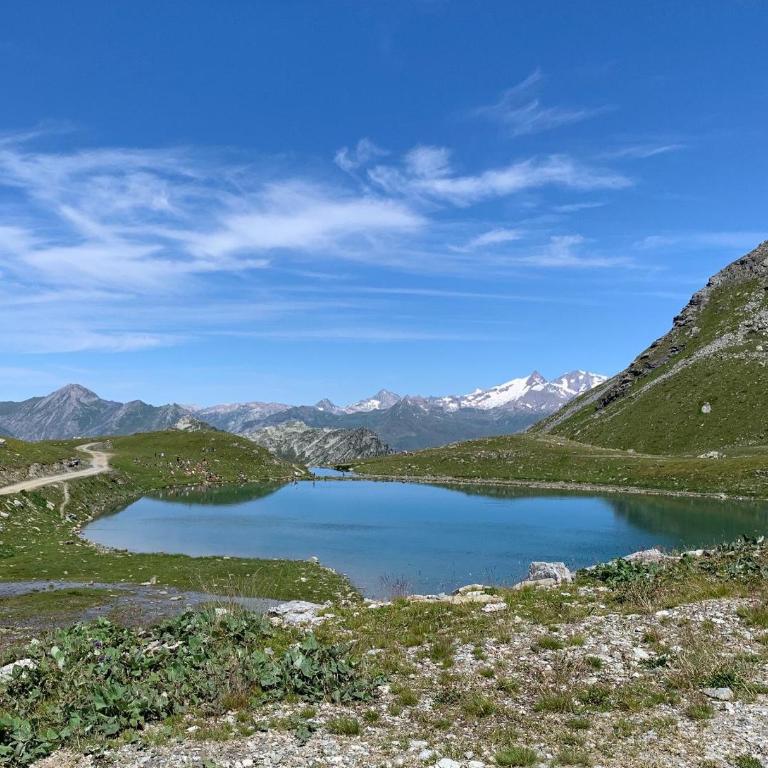 Arc 1950 aux pieds des pistes - Appartamento con Vista Montagna - 27