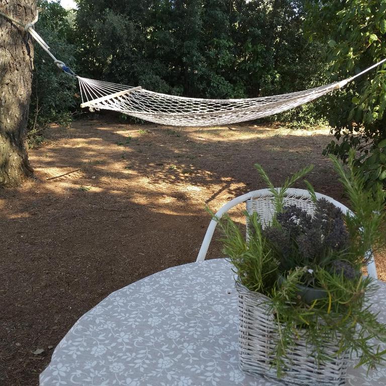 Casa Vacanze Villa Greca - Appartamento Standard - 14