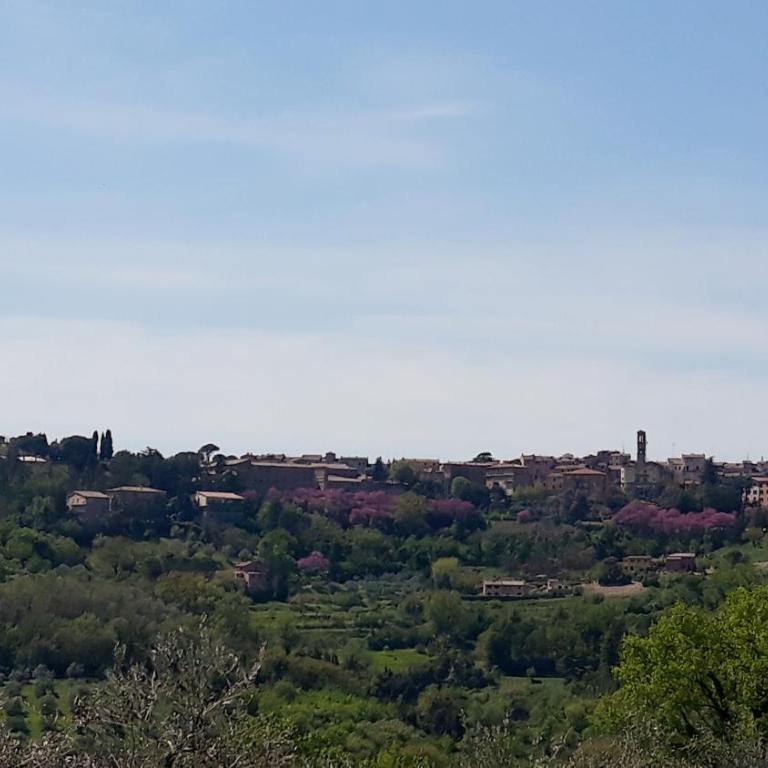 Il Rifugio del Leone - Appartamento con 2 Camere da Letto - 3