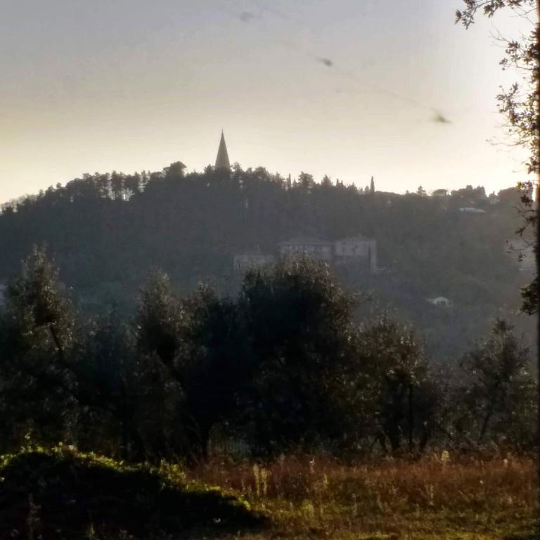 Il Rifugio del Leone - Appartamento con 2 Camere da Letto - 6