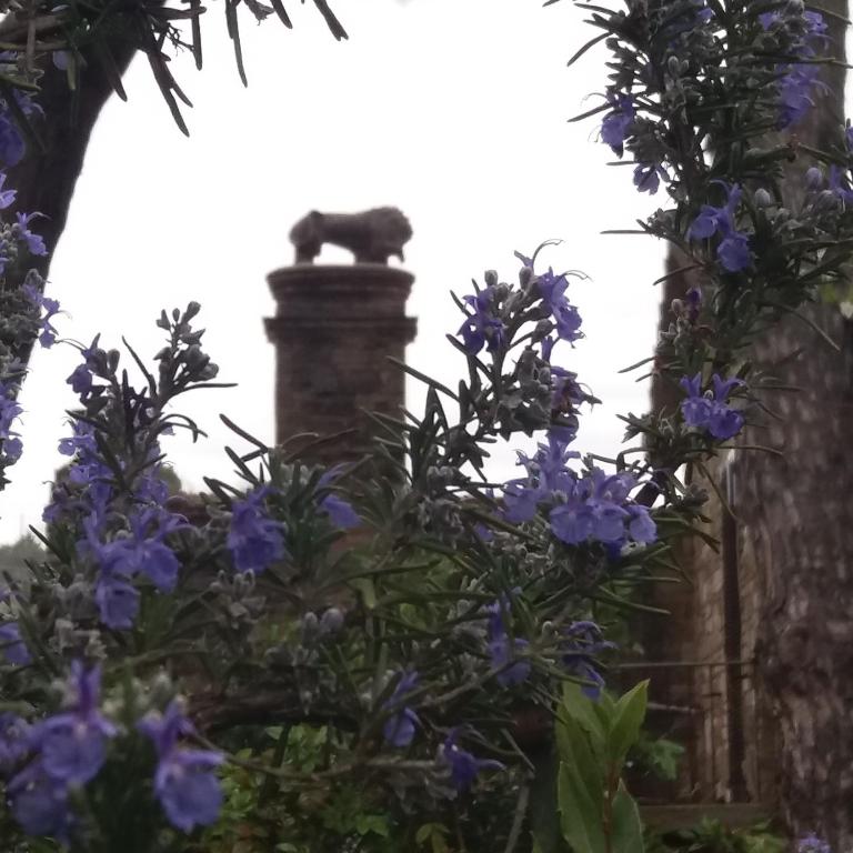 Il Rifugio del Leone - Appartamento con 2 Camere da Letto - 13