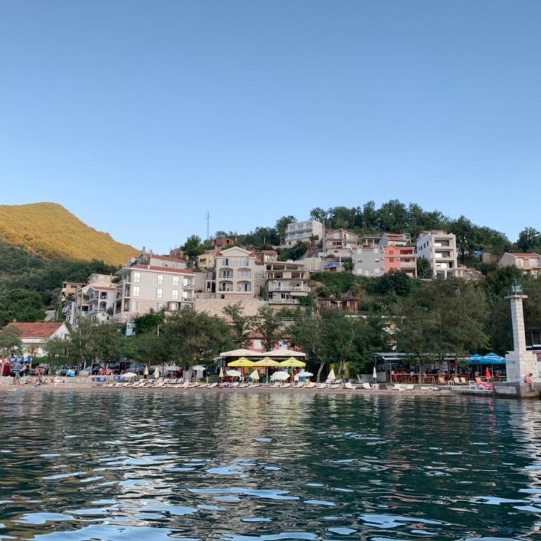 Paunovic Apartments - Apartman - 12