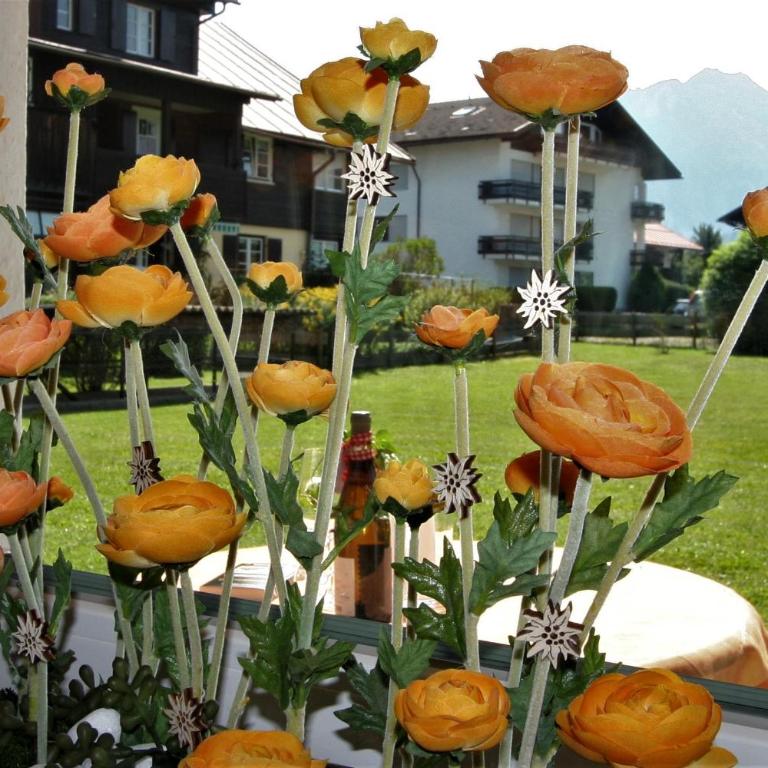 Alpenflair Ferienwohnungen Whg. 226 Wiesacker - Apartment mit 1 Schlafzimmer - 12