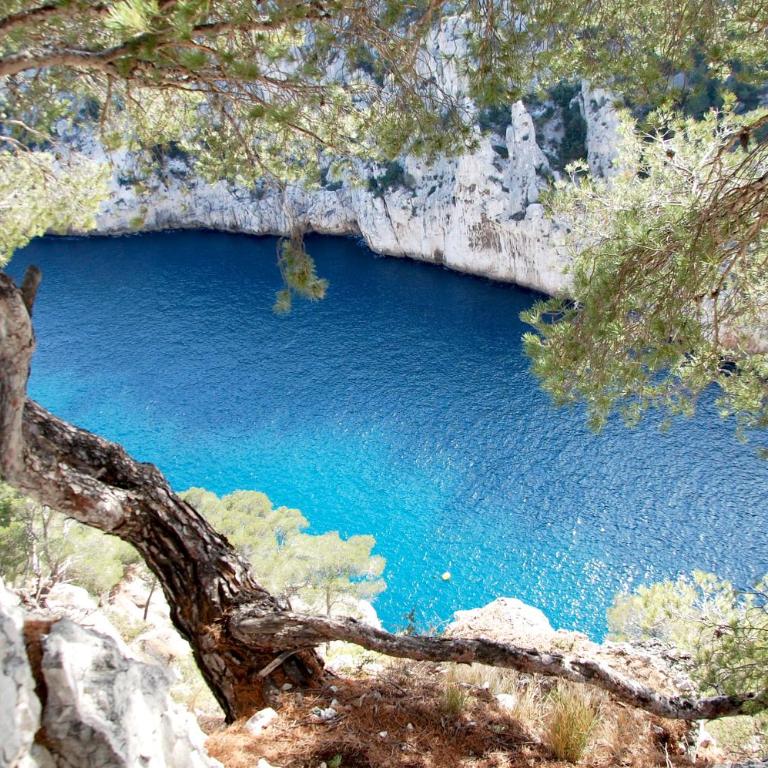 Calanque - Appartement - Vue sur Mer - 41