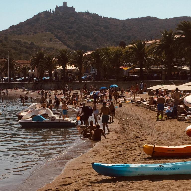 Apartment Olive & Kin, Collioure - Appartamento con 2 Camere da Letto - 26