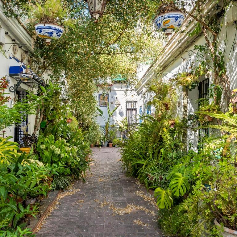 Misterhost Triana Patio de las Flores - Apartamento - Planta baja - 18