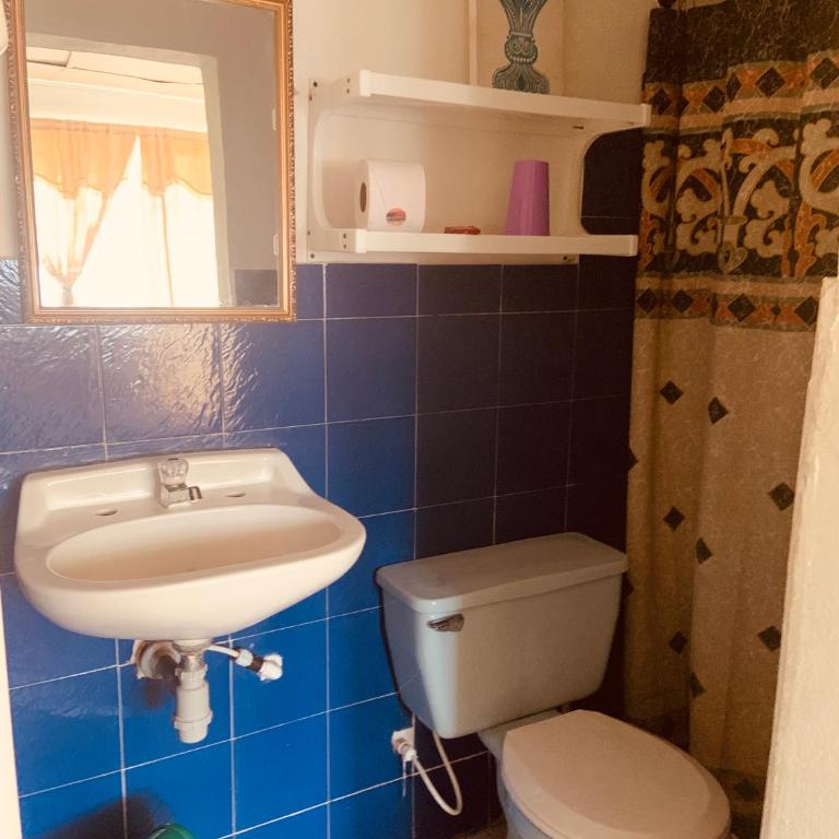 Posada Nativa Trinsan Centro - Deluxe Double Room with Balcony - 8