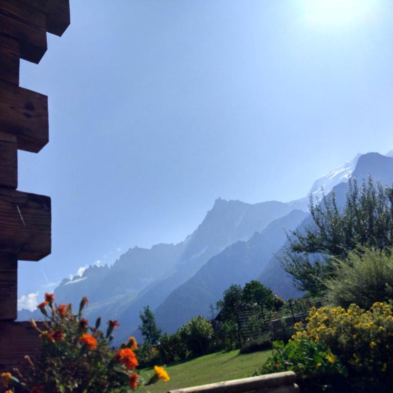 Chalet Le Marmouzet - Chalet 1 Chambre - 11