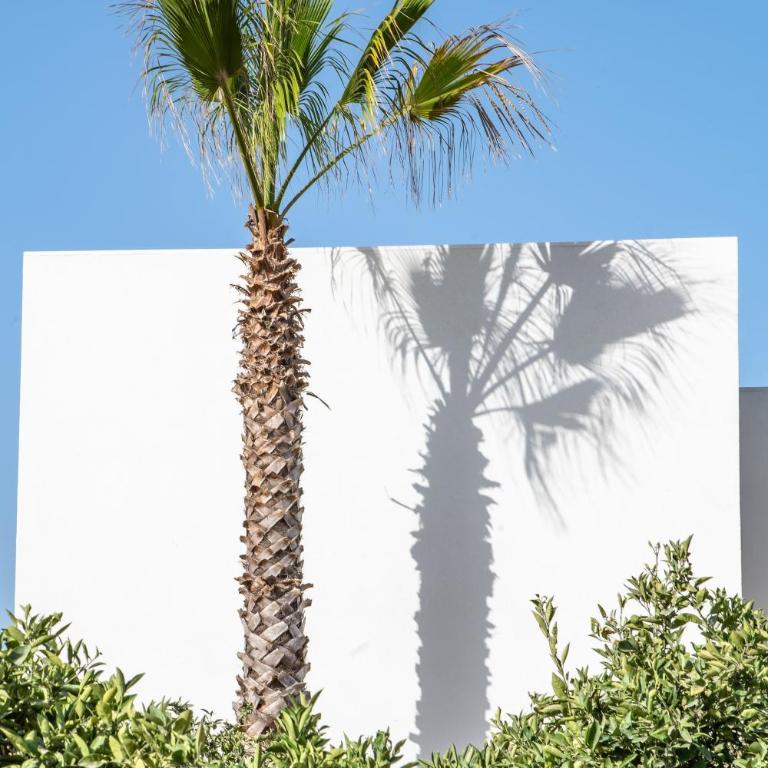 Can Jaume Private Villas by Ocean Drive - Villa con vistas al jardín - 11