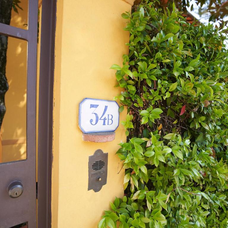 Green Nest Apartments - One-Bedroom Apartment - 17