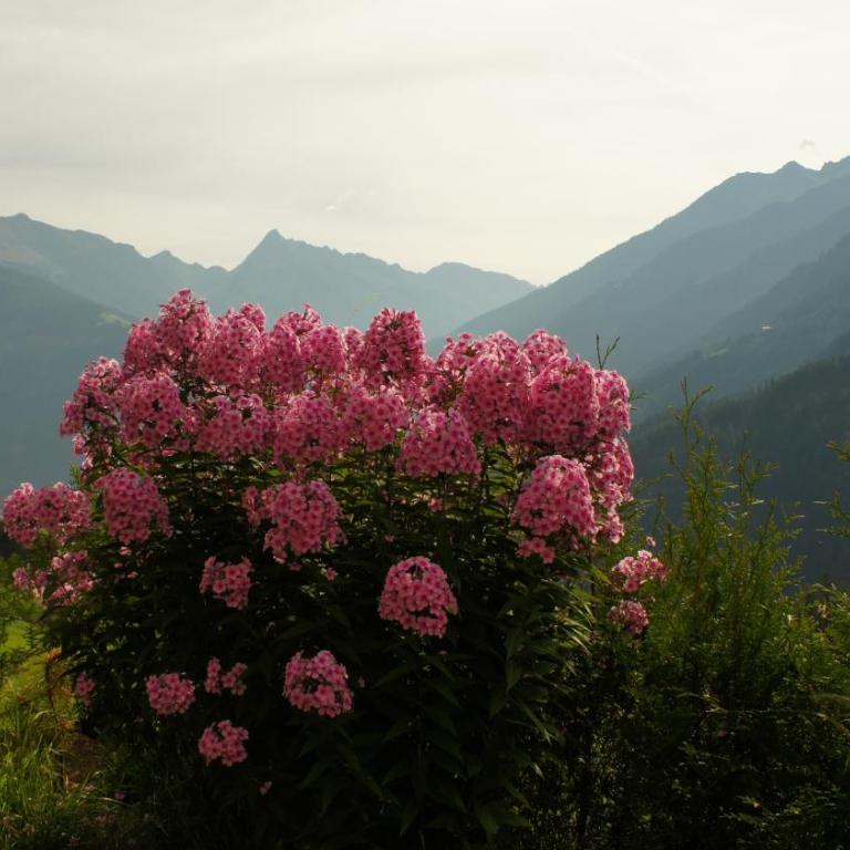 Bergblick - Apartment mit 2 Schlafzimmern - 29